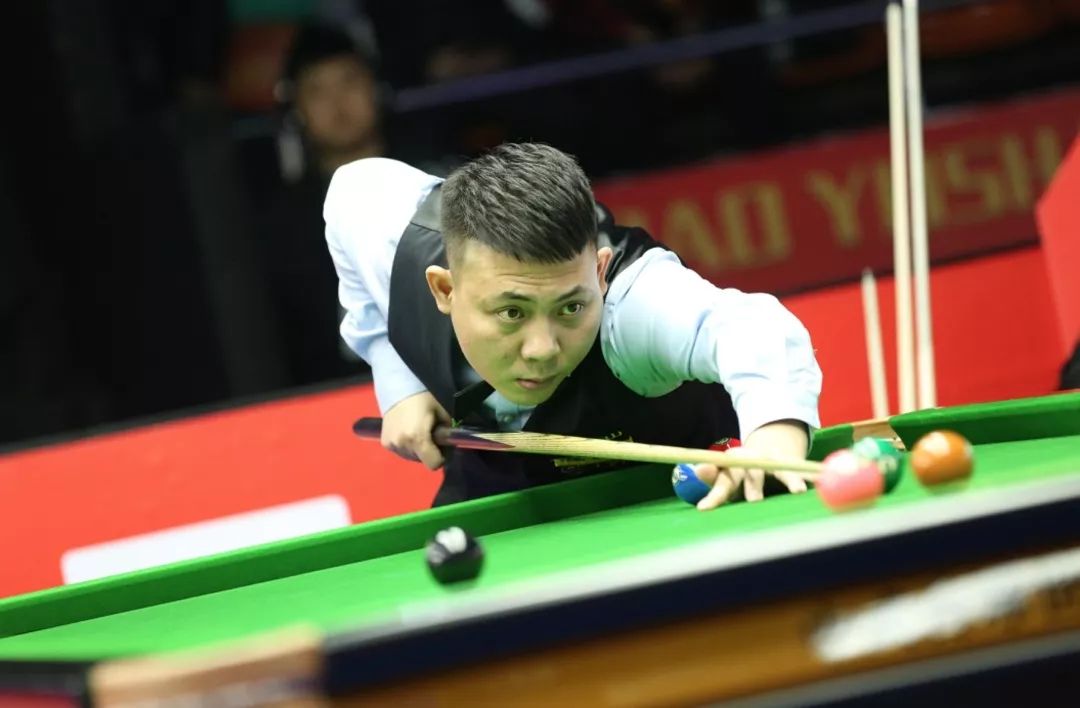 不会回归 不会回归